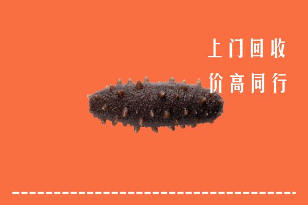 高价求购：厦门市集美区回收海参