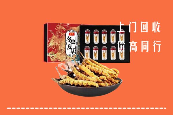 厦门市集美区回收虫草